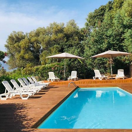Camping Monte Ortu By Corsica Paradise Hotell Lumio  Eksteriør bilde