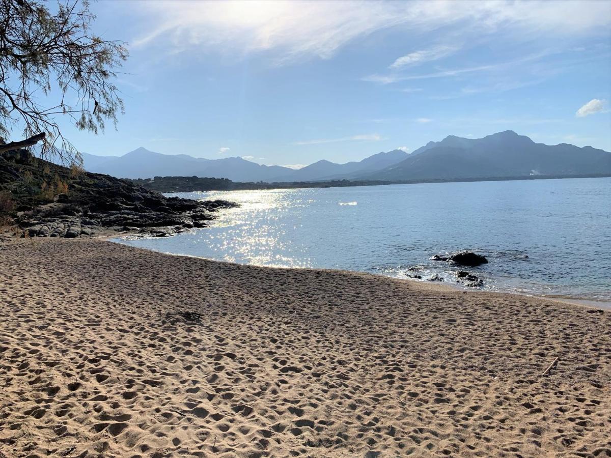 Camping Monte Ortu By Corsica Paradise Hotell Lumio  Eksteriør bilde